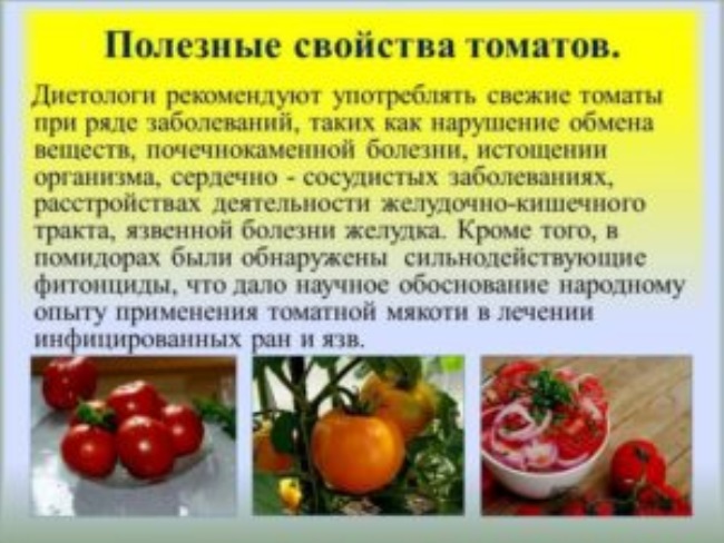 Грунтовые помидоры польза